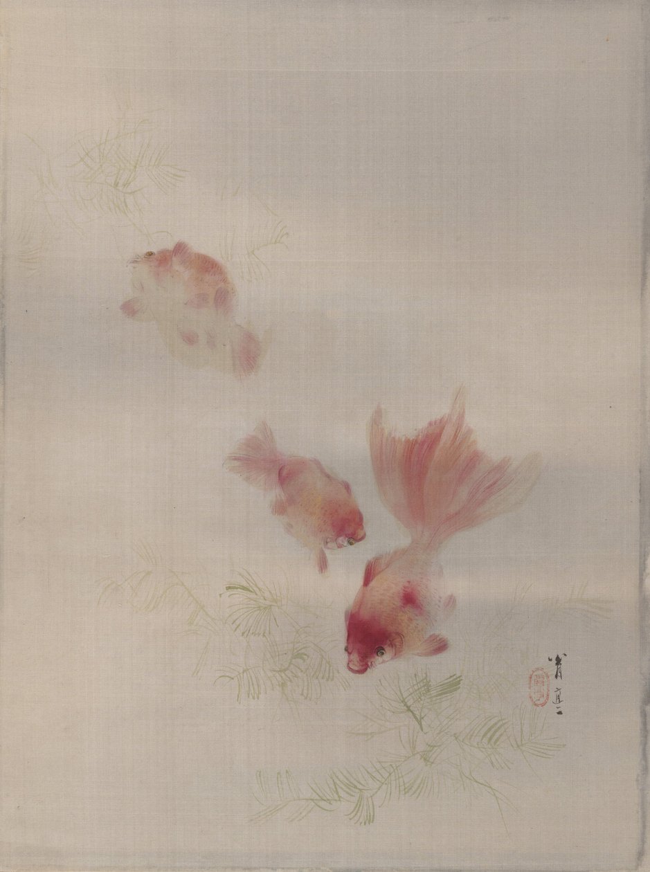 Poissons rouges, vers 1887 - Watanabe Seitei