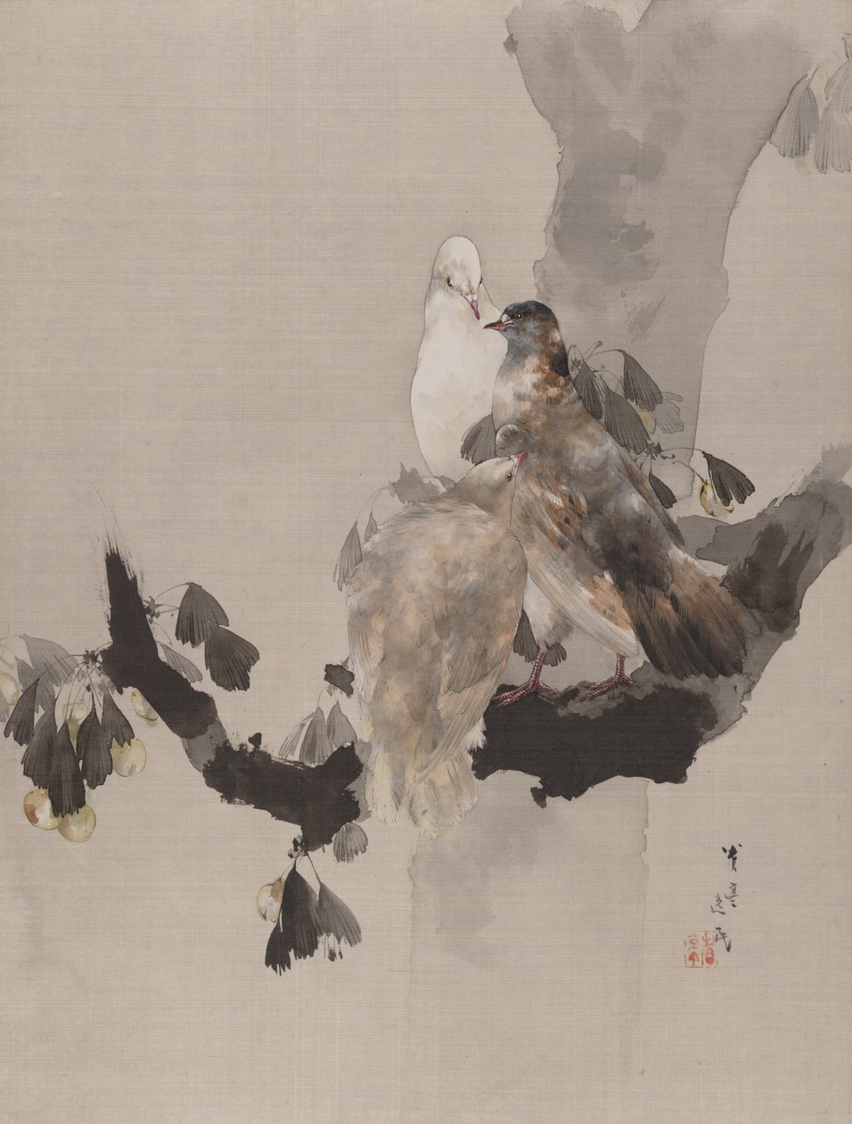 Pigeons dans un arbre, vers 1887 - Watanabe Seitei