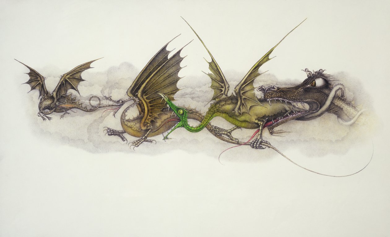 Les grands dragons mangent les petits dragons - Wayne Anderson