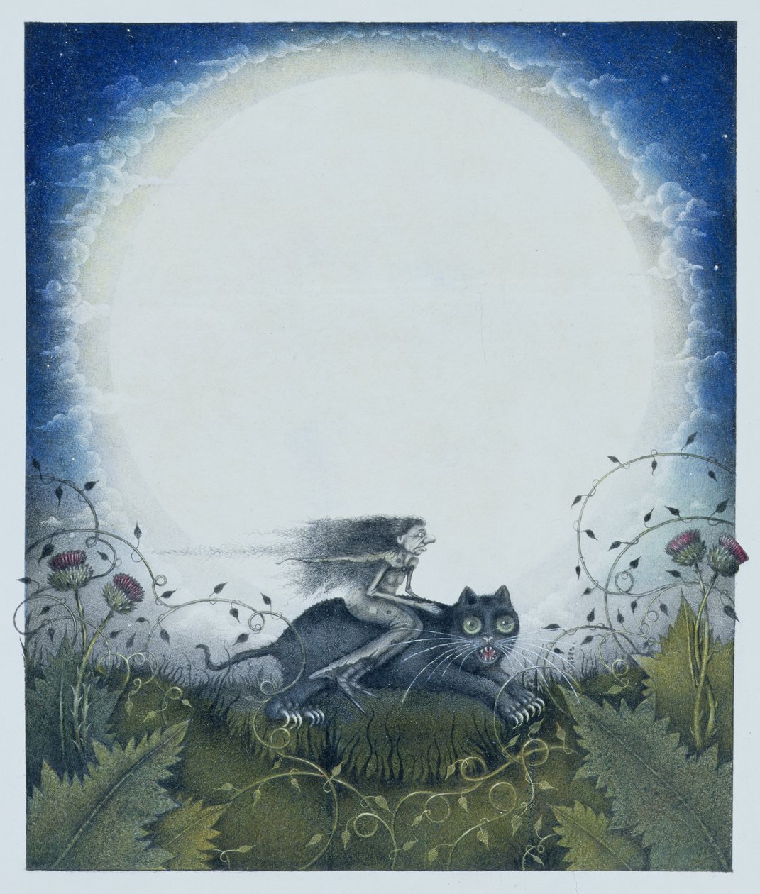 Sorcière écossaise sur un chat noir (crayon et crayon de couleur sur papier) - Wayne Anderson