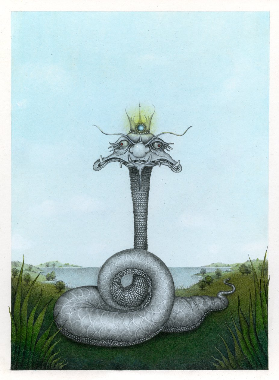 Le roi des serpents - Wayne Anderson