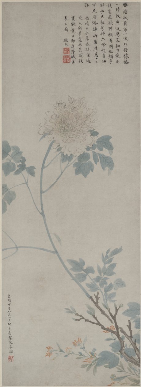 Pivoine - Wen Zhengming