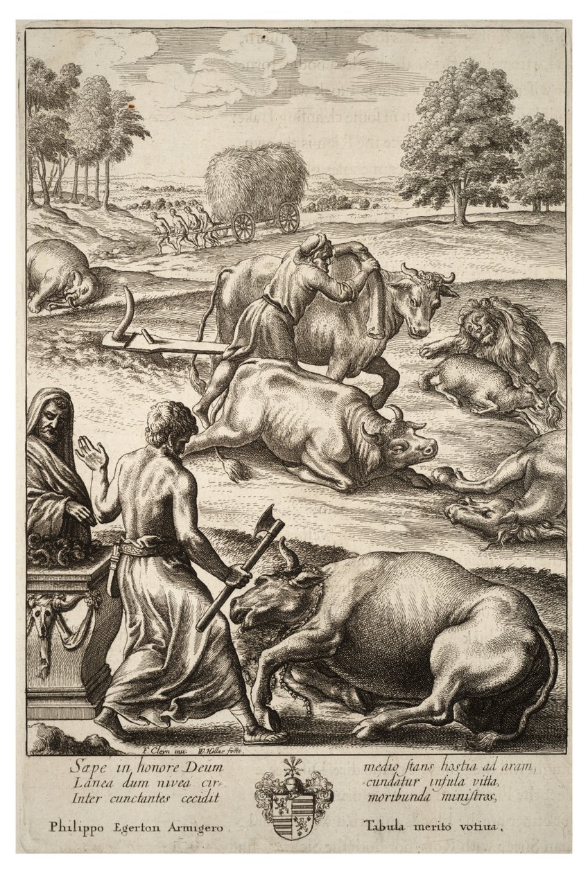Peste bovine. État 2 - Wenceslaus Hollar
