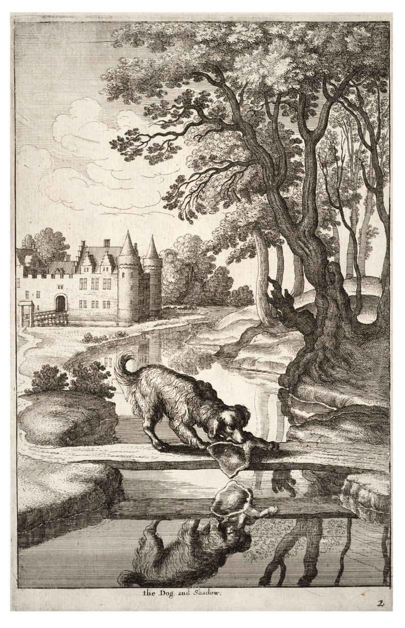 Le chien et son reflet - Wenceslaus Hollar