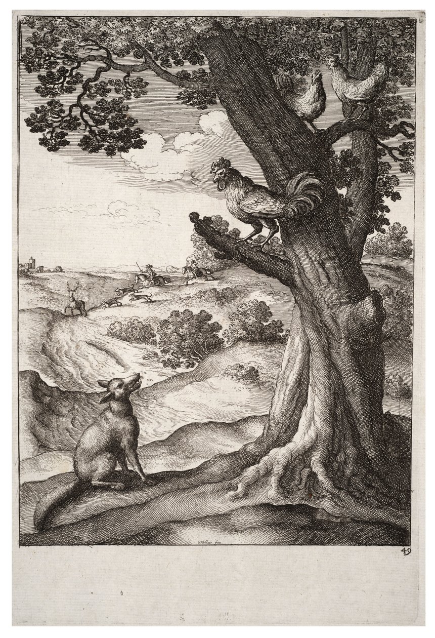 Le renard et le coq - Wenceslaus Hollar