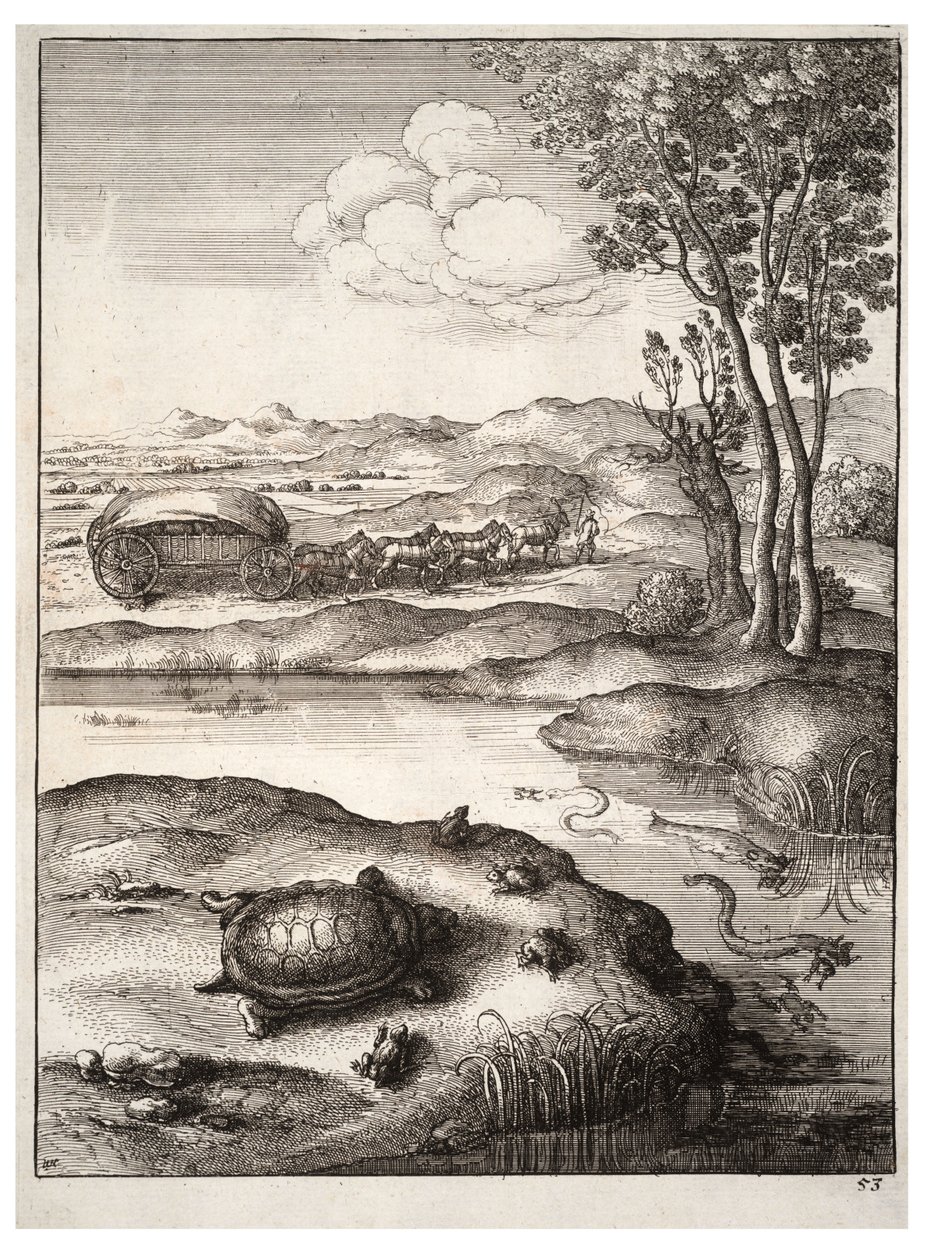 La tortue et les grenouilles - Wenceslaus Hollar