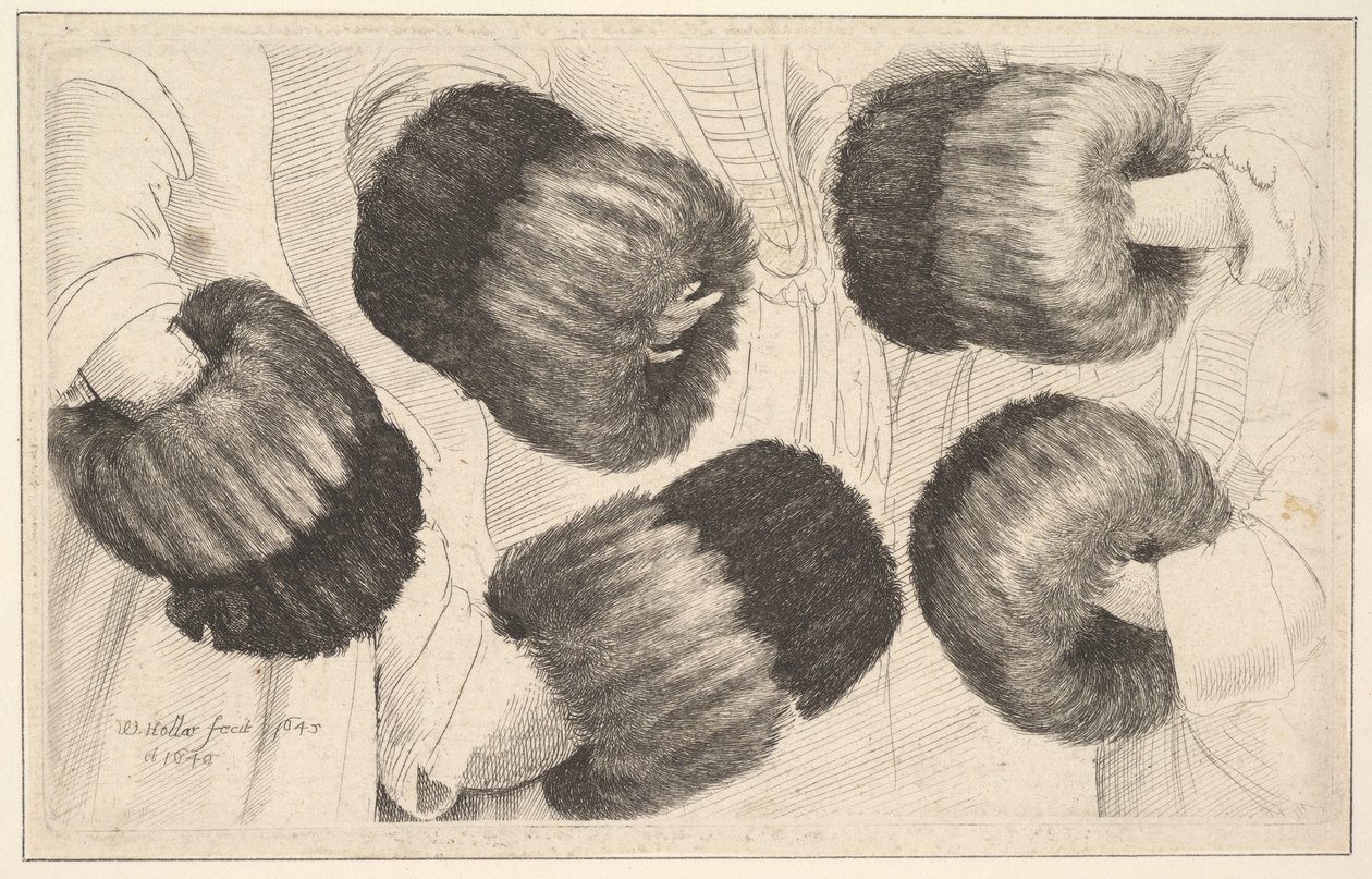 Une moufle en cinq vues, 1645-46 - Wenceslaus Hollar