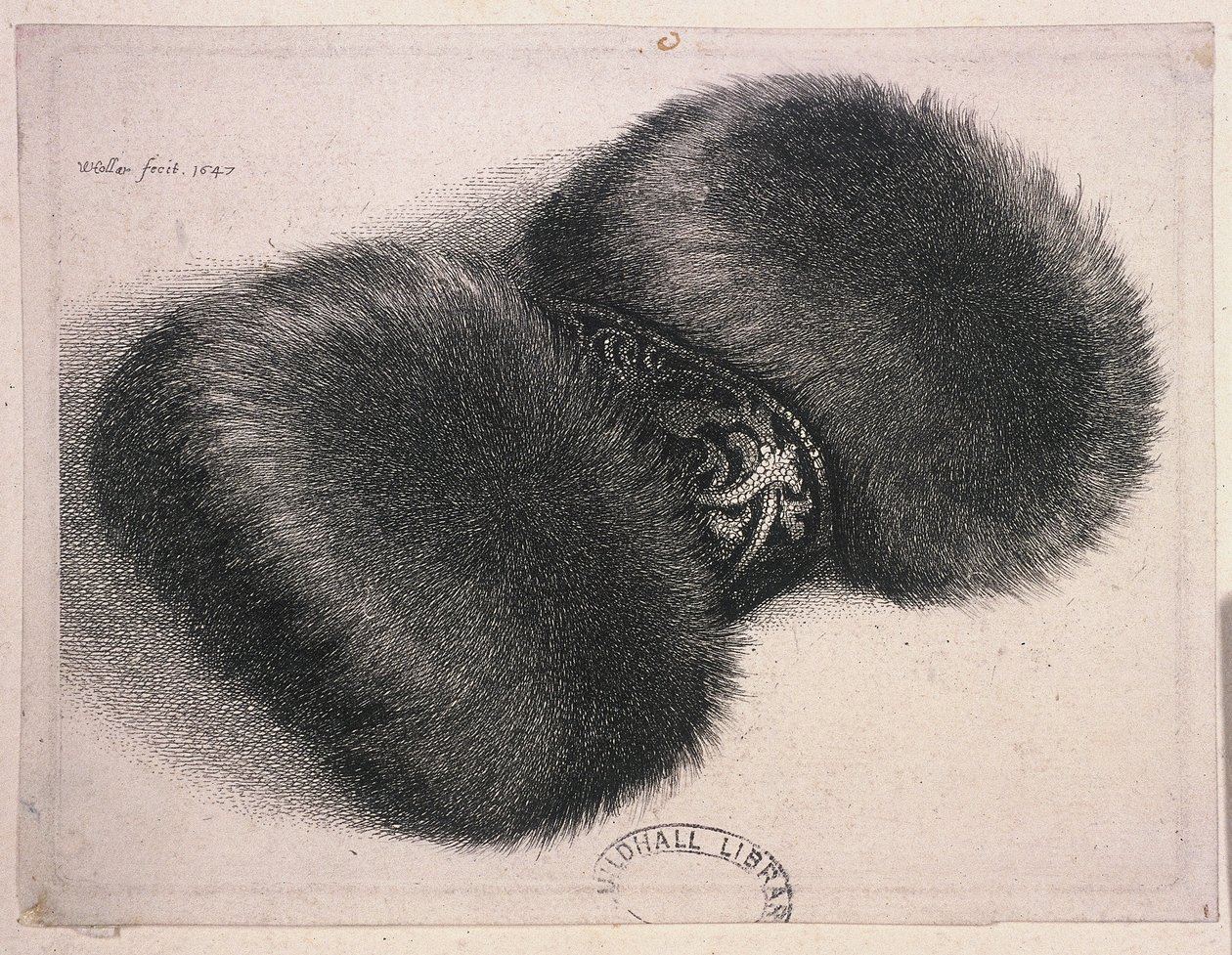 Un grand manchon avec une bande de brocart - Wenceslaus Hollar