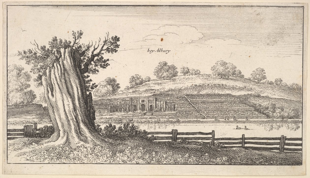Albury avec une souche d
