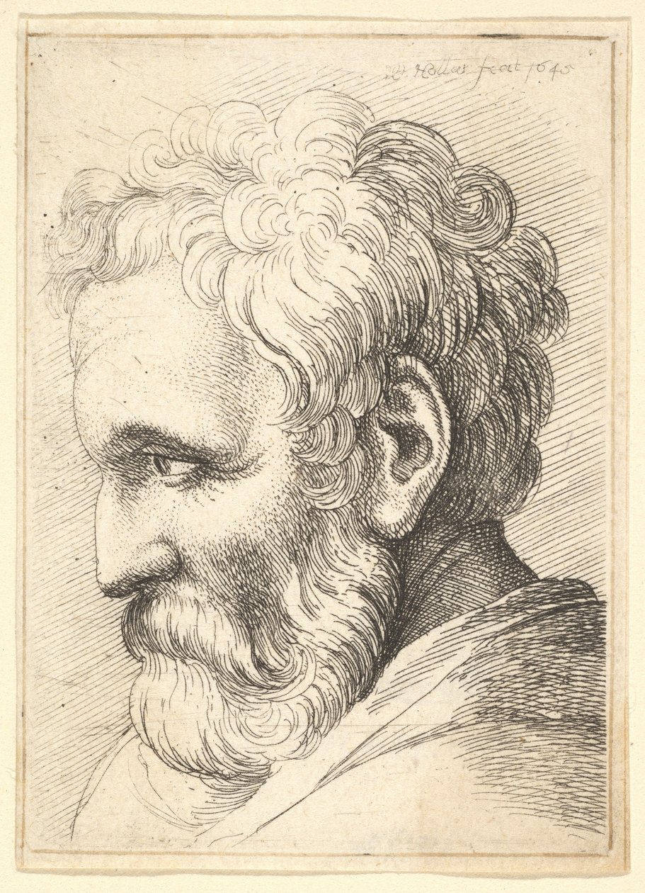 Vieil homme barbu - Wenceslaus Hollar