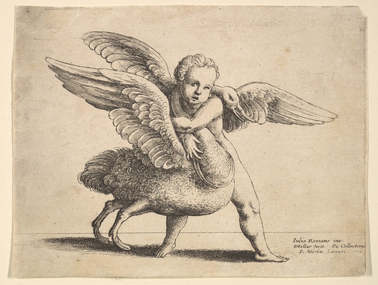 Cupidon et le cygne - Wenceslaus Hollar