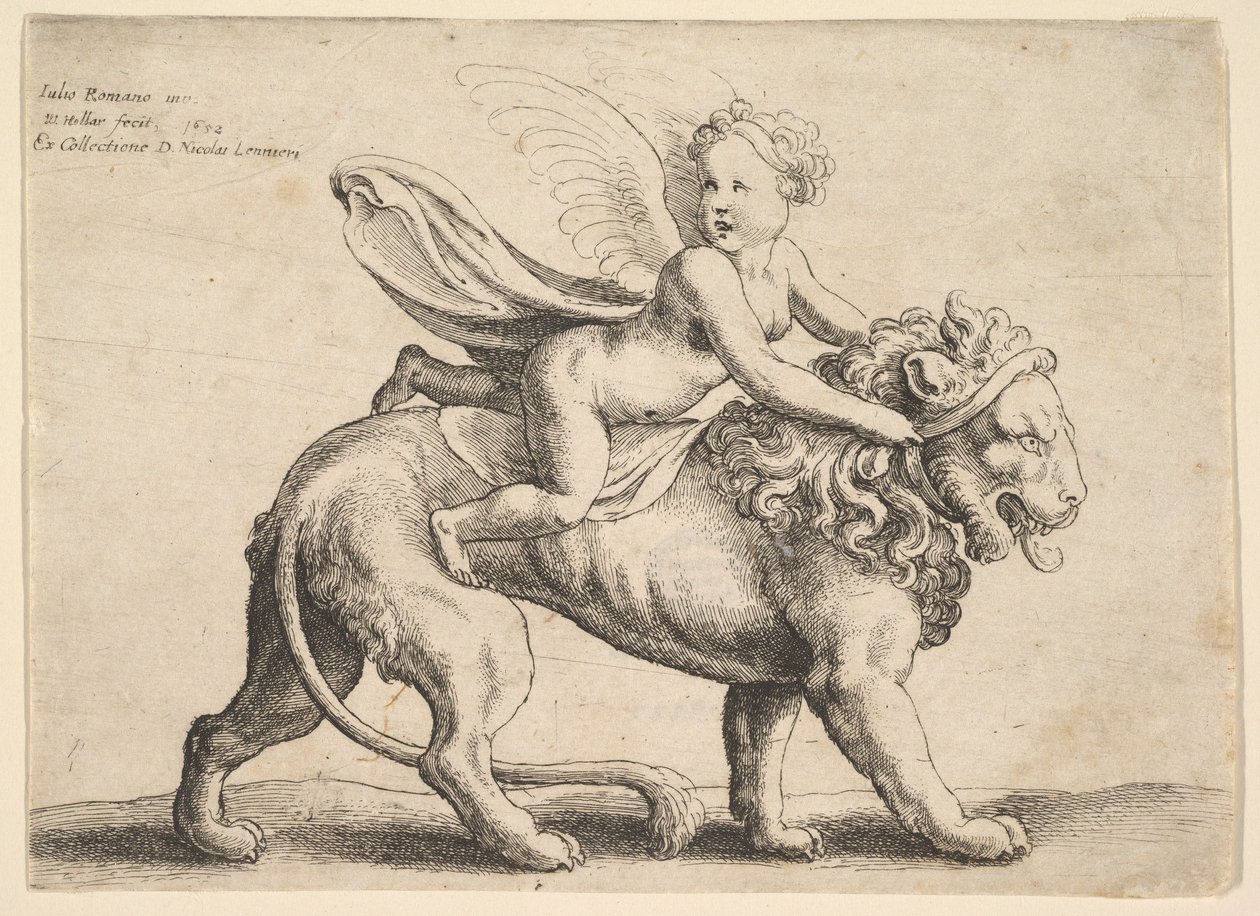 Cupidon sur un lion - Wenceslaus Hollar