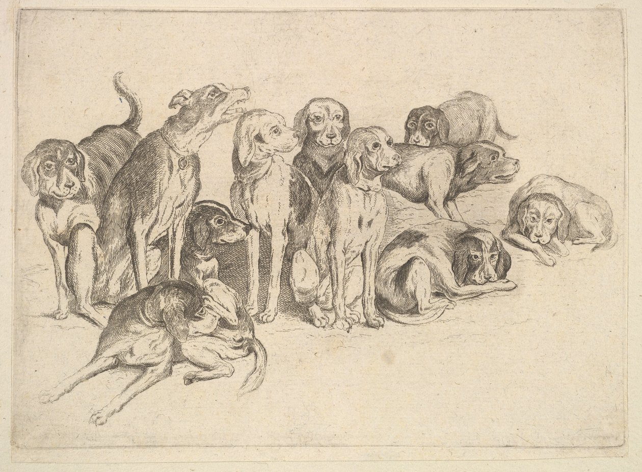 Onze chiens courants - Wenceslaus Hollar