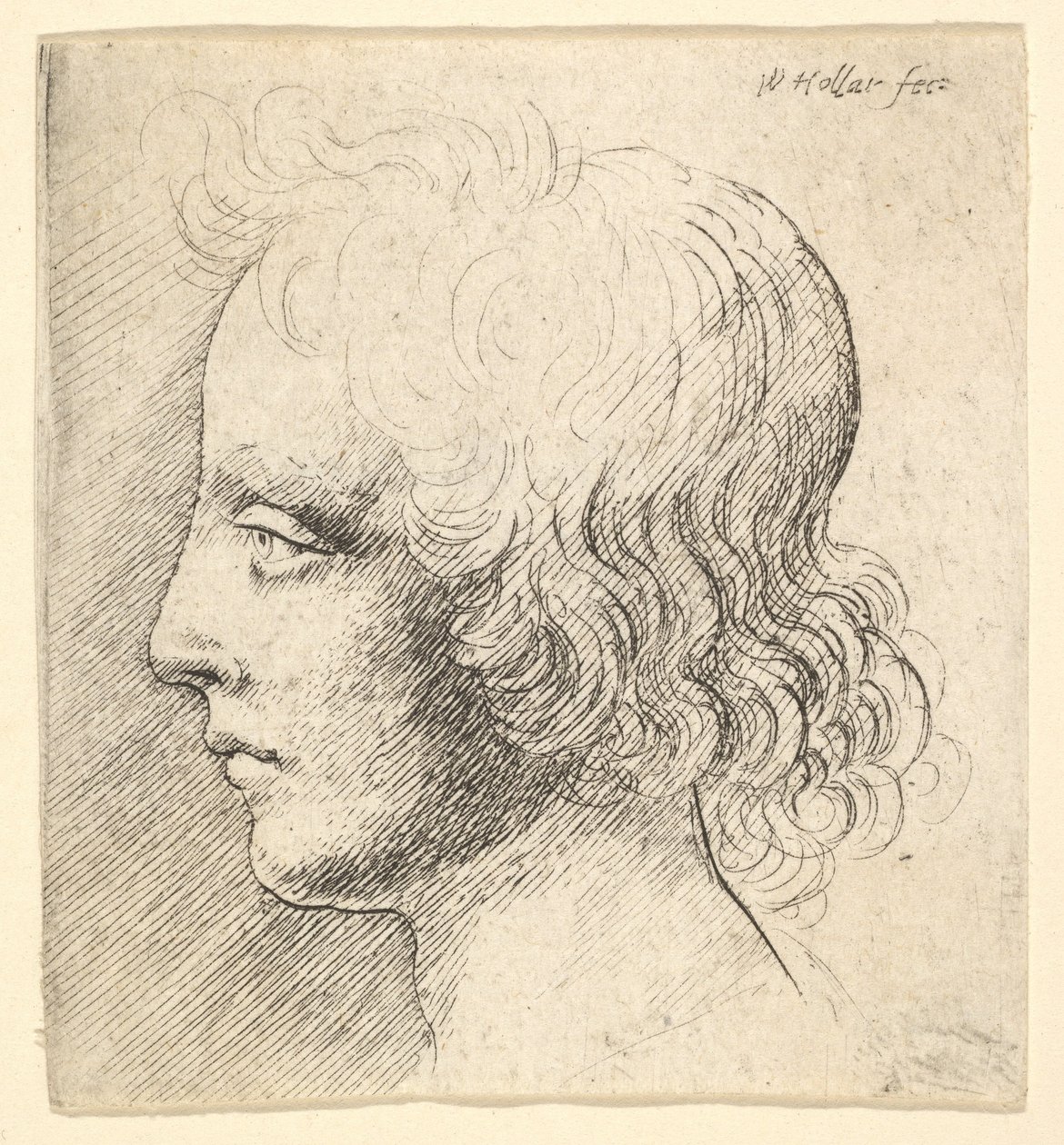 Tête de jeune homme - Wenceslaus Hollar