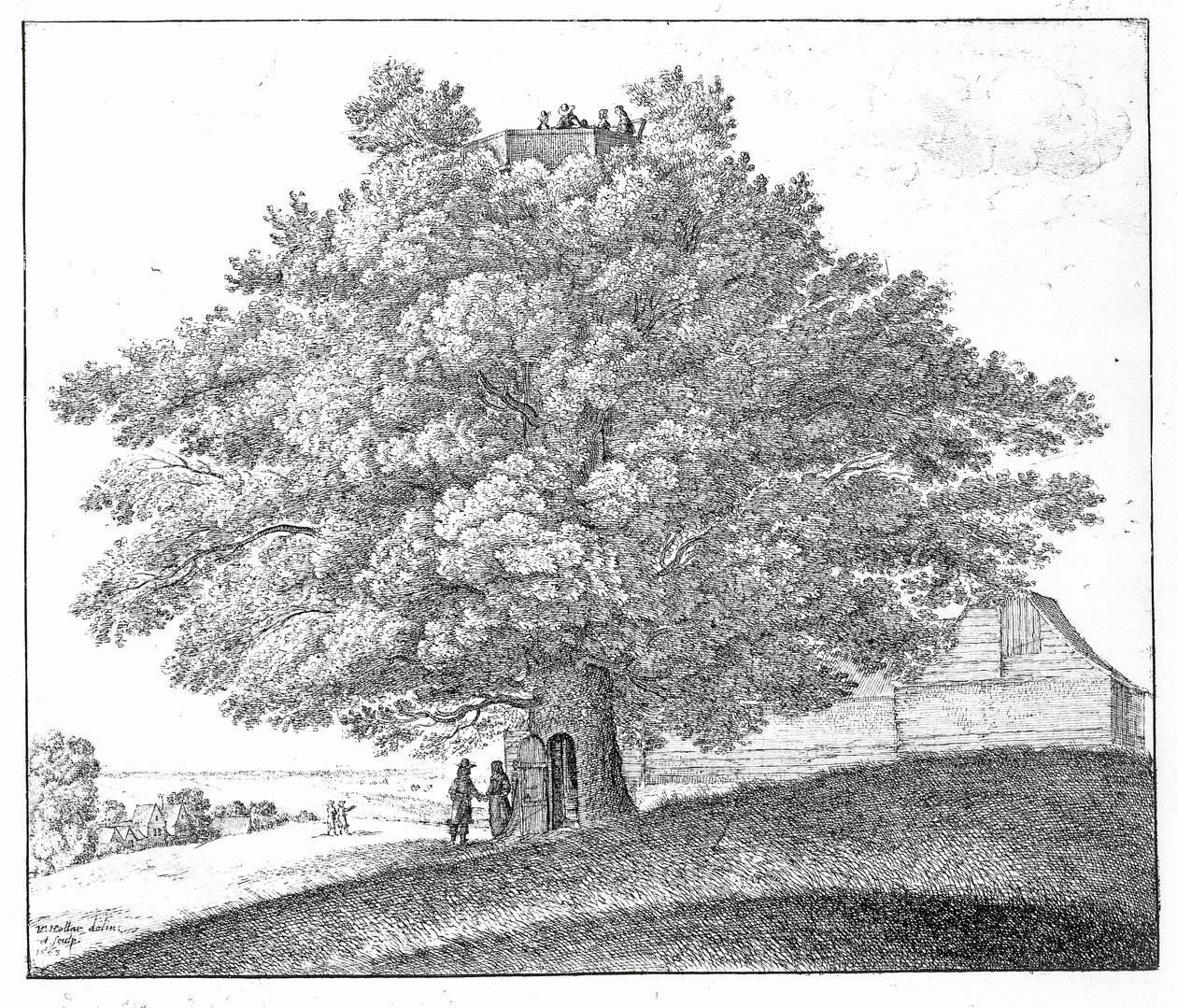 Arbre creux à Hampstead, 1663 - Wenceslaus Hollar
