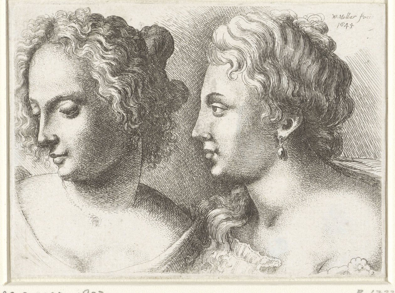 Têtes de deux jeunes femmes - Wenceslaus Hollar