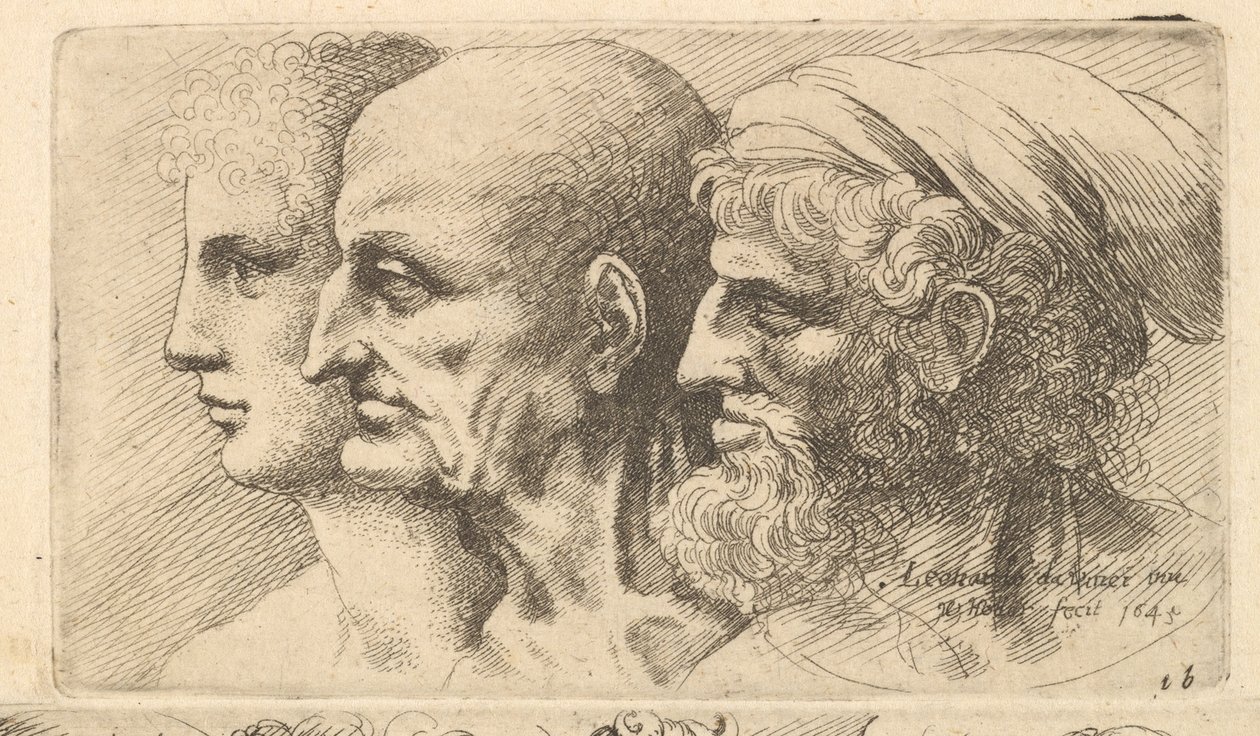 Rangée de trois têtes de profil à gauche, 1645 - Wenceslaus Hollar
