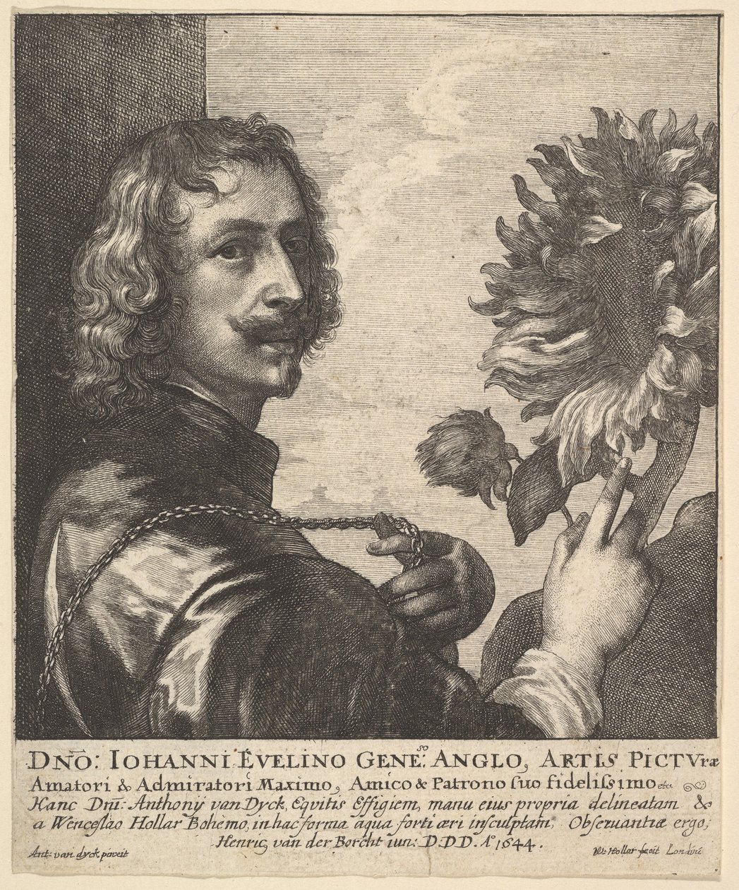 Sir Anthony van Dyck avec un tournesol, 1644 - Wenceslaus Hollar