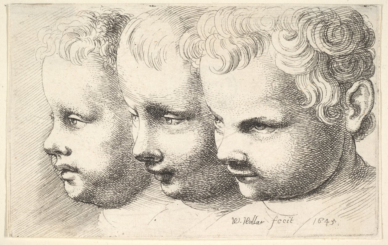 Les têtes de trois enfants - Wenceslaus Hollar