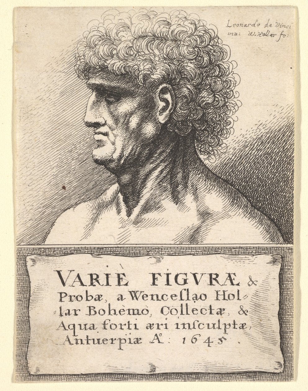 Page de titre de Varie Figuræ & Probæ, 1645 - Wenceslaus Hollar