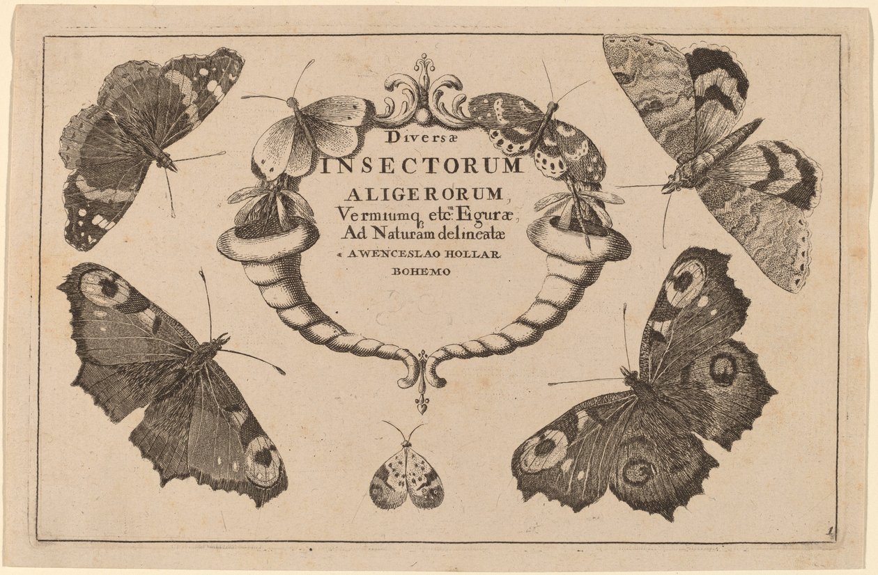 Page de titre - Wenceslaus Hollar