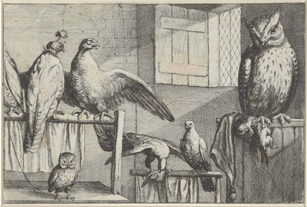 Faucons et hiboux dans une grange - Wenceslaus Hollar