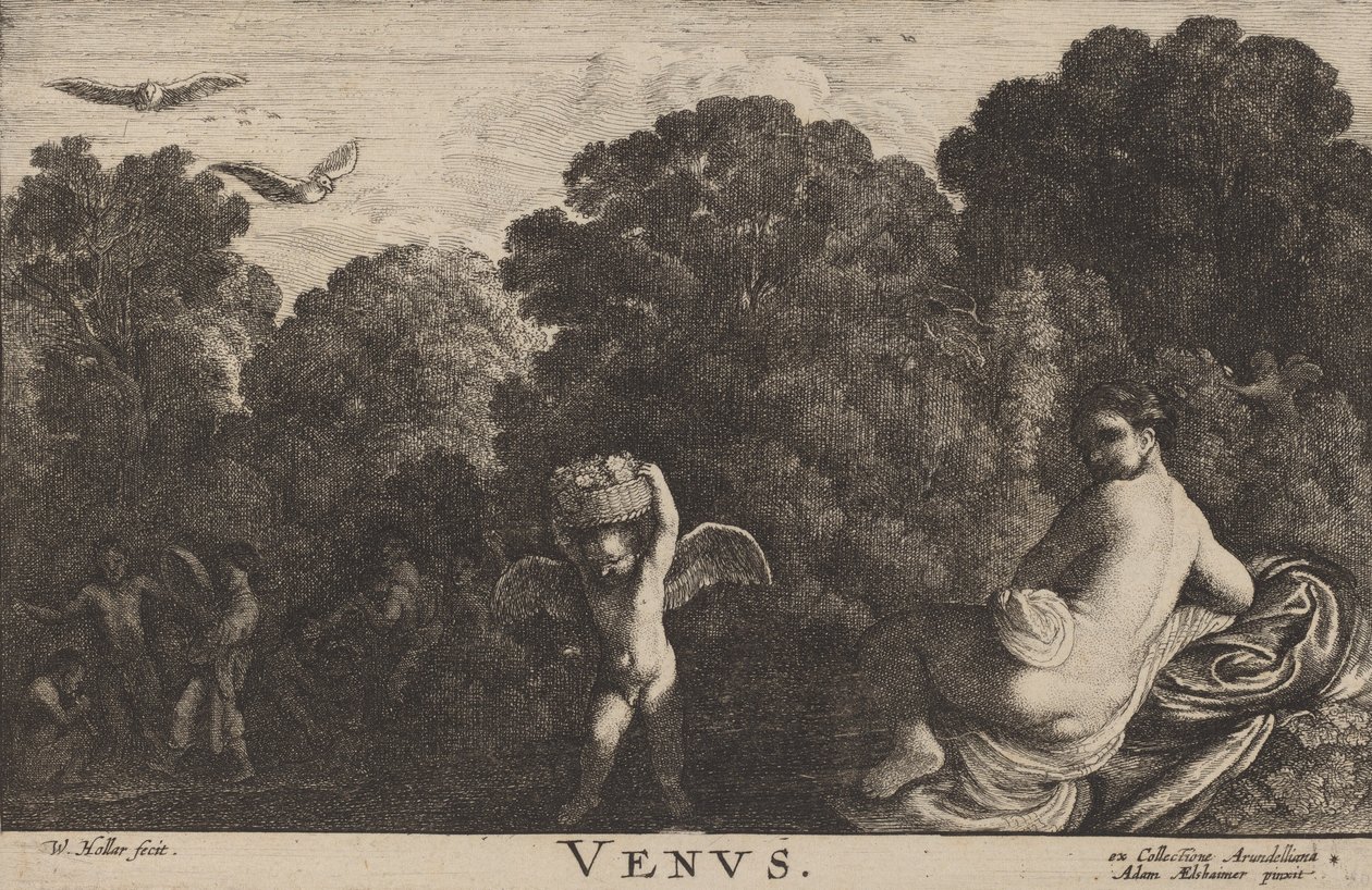 Vénus - Wenceslaus Hollar