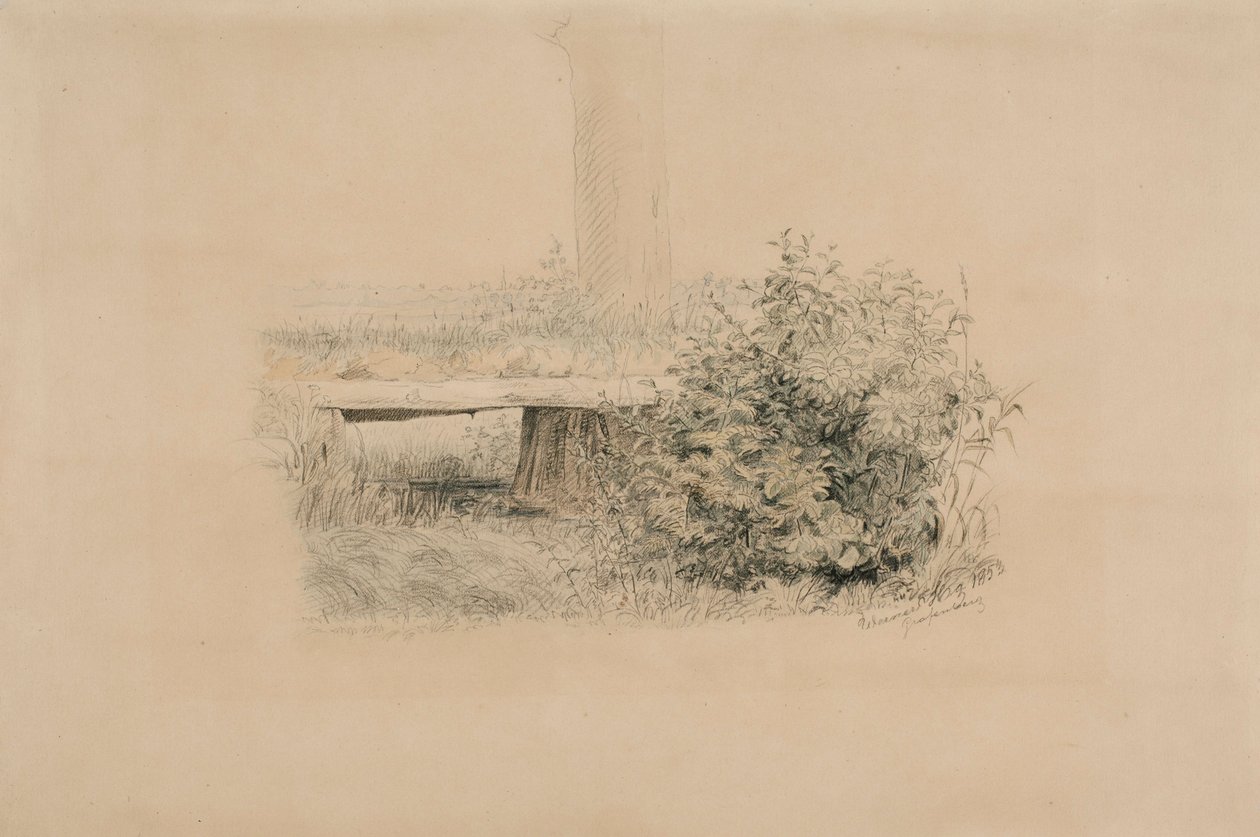 Sans titre - Werner Holmberg