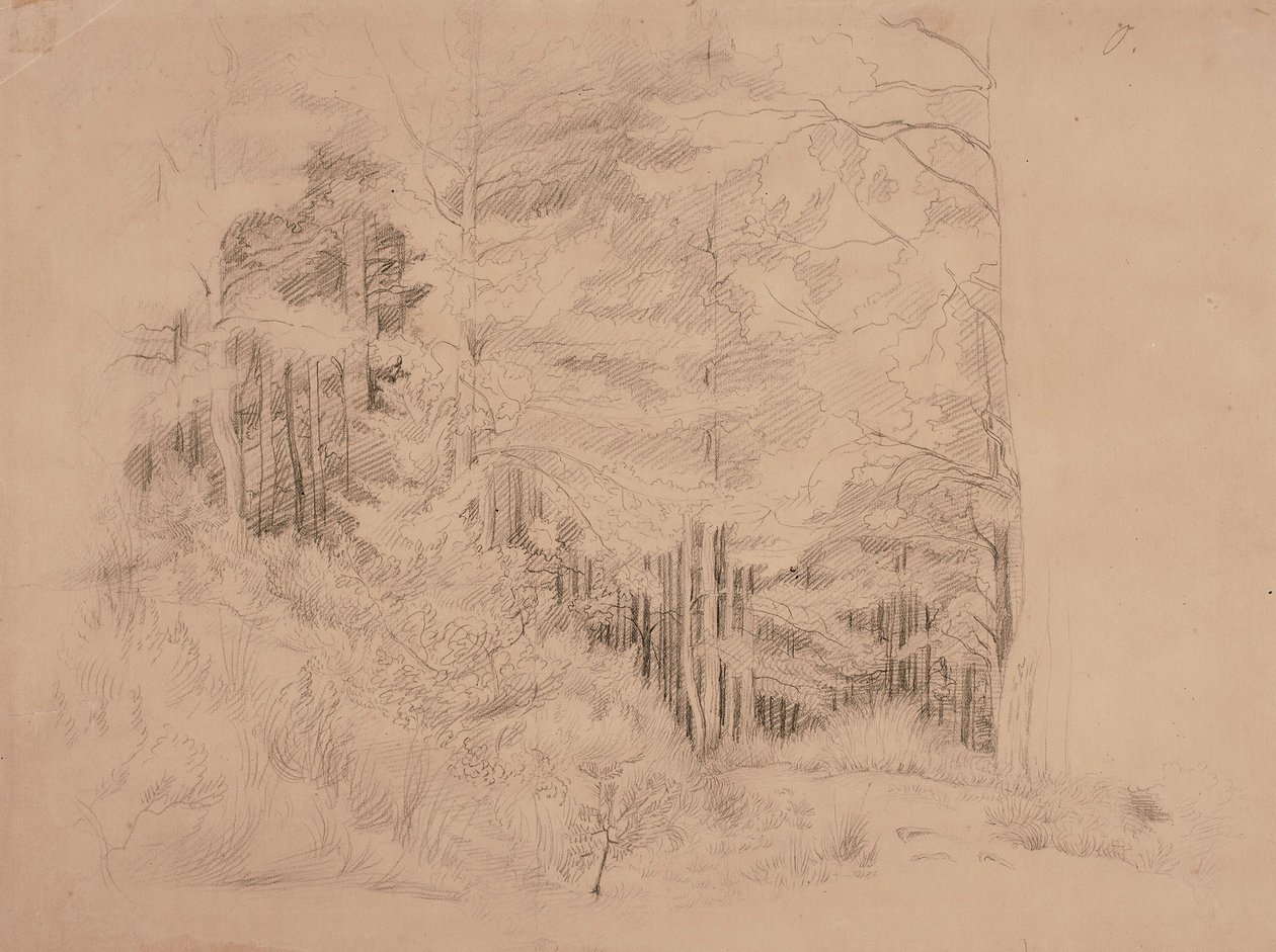 Sans titre - Werner Holmberg