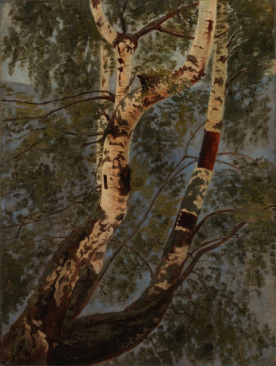 Sans titre - Werner Holmberg