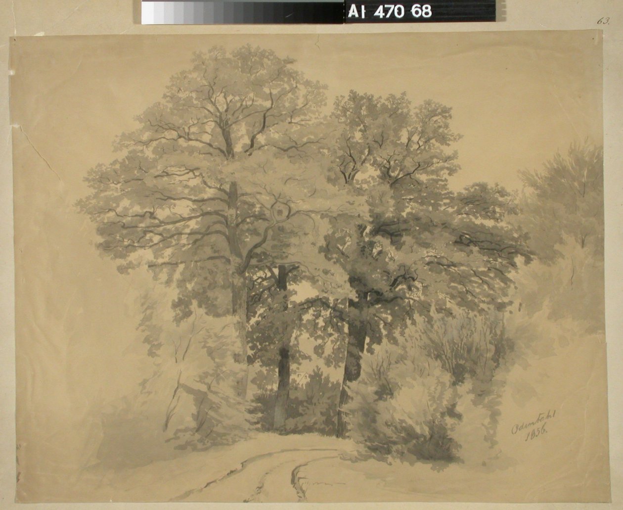 Sans titre - Werner Holmberg