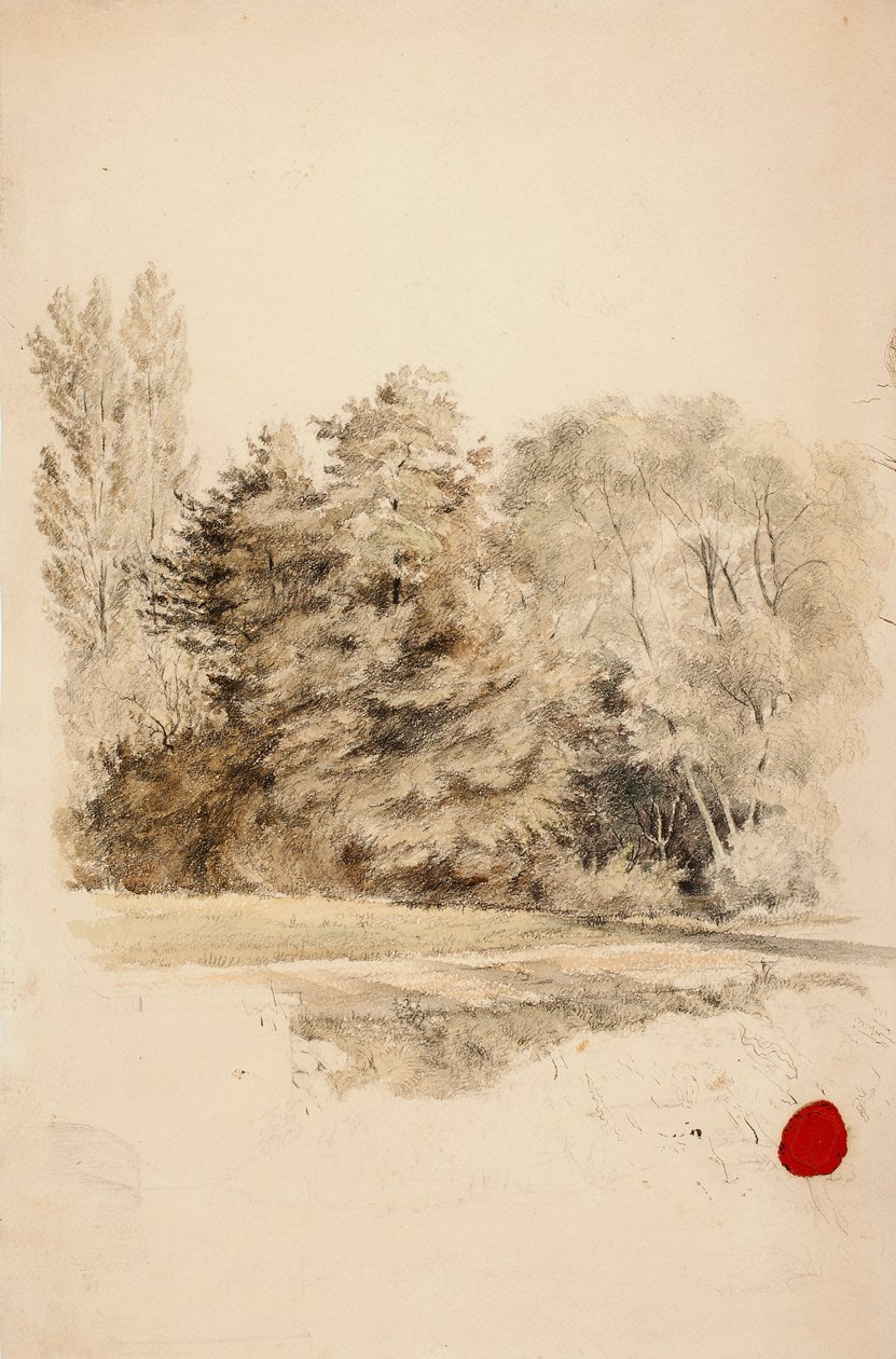 Sans titre - Werner Holmberg
