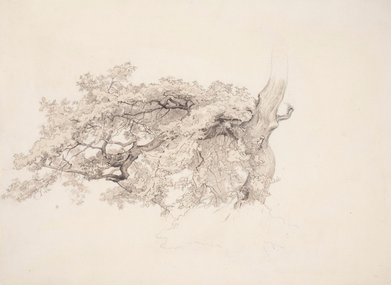 Sans titre - Werner Holmberg