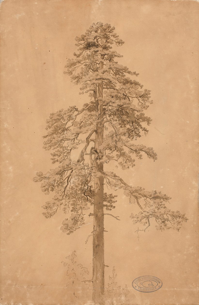 Sans titre - Werner Holmberg
