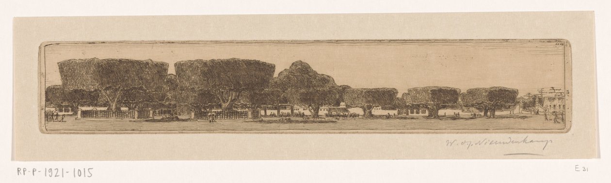 Arbres waringin dans le jardin du palais du sultan à Yogyakarta - Wijnand Otto Jan Nieuwenkamp (signed by artist)