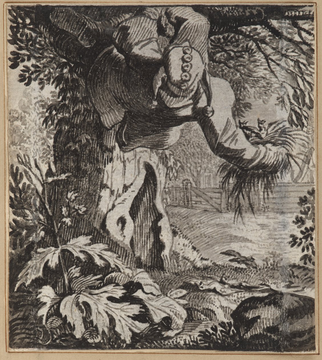 Le Fou Audacieux - Wilhelm Stettler