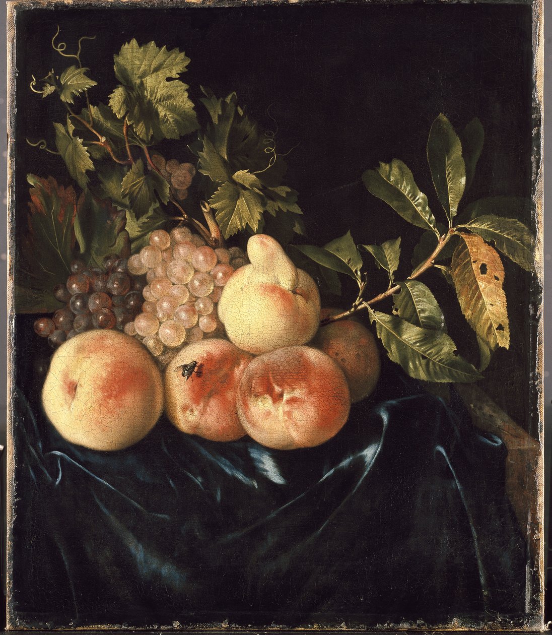 Nature morte avec pêches et raisins - Willem Frederik van Royen
