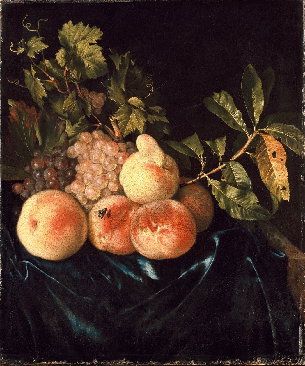 Nature morte de pêches et de raisins, 1705 - Willem Frederiksz van Royen