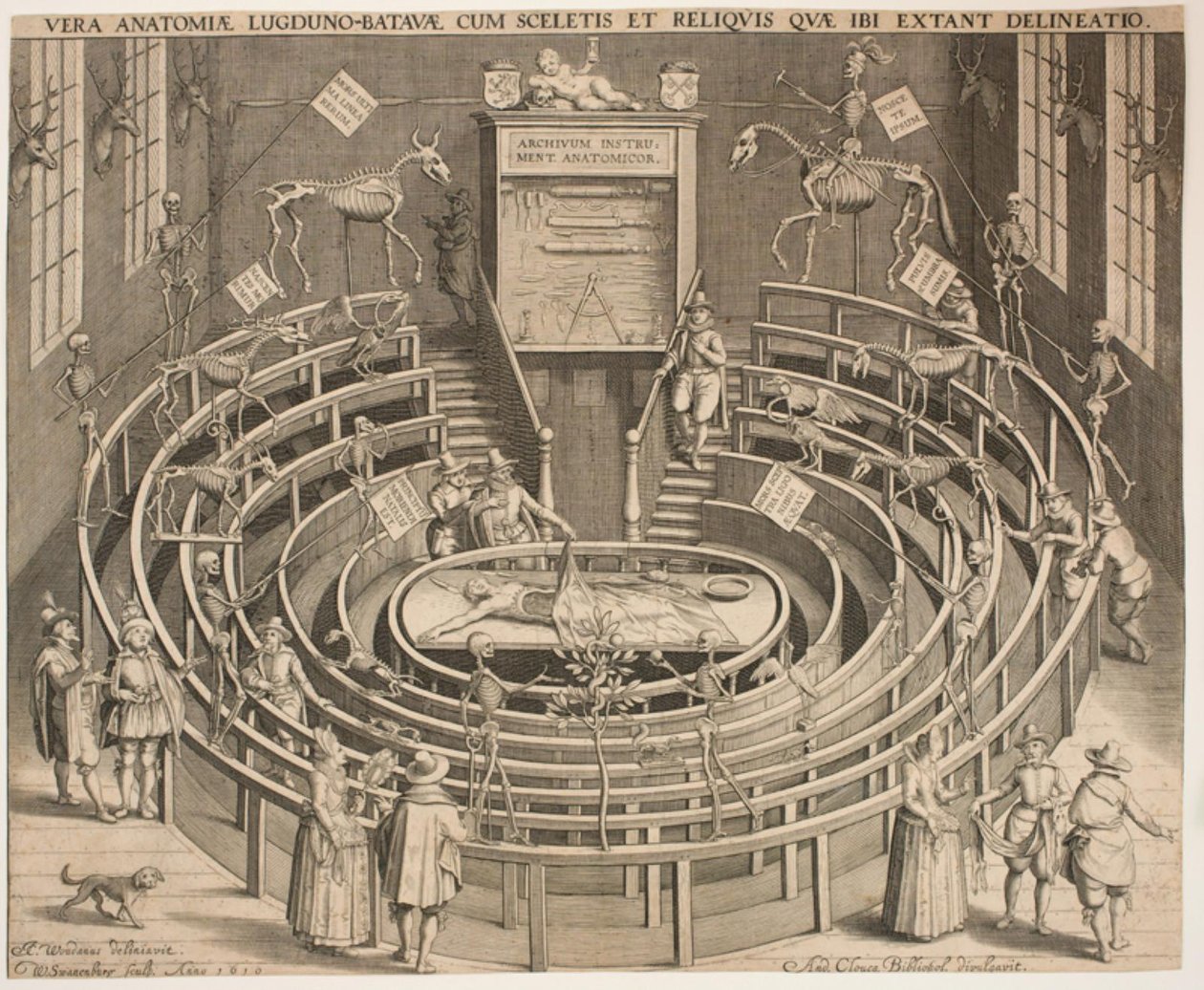 La salle du théâtre anatomique à Leyde - Willem Isaaksz Swanenburgh