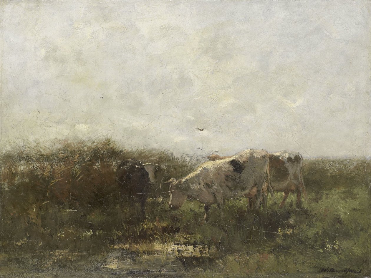 Vaches dans un pré détrempé - Willem Maris