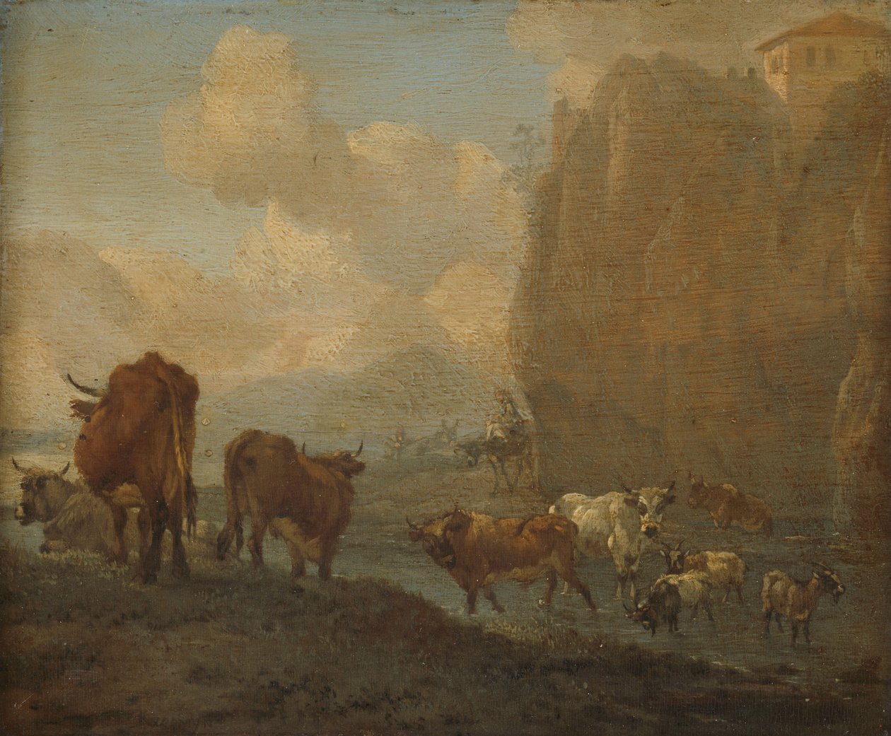 Bétail au bord d