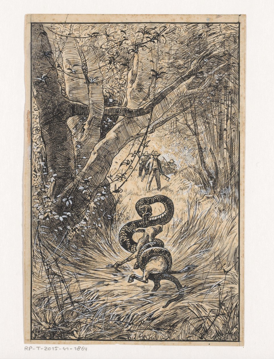 Serpent étranglant une chèvre - Willem Wenckebach
