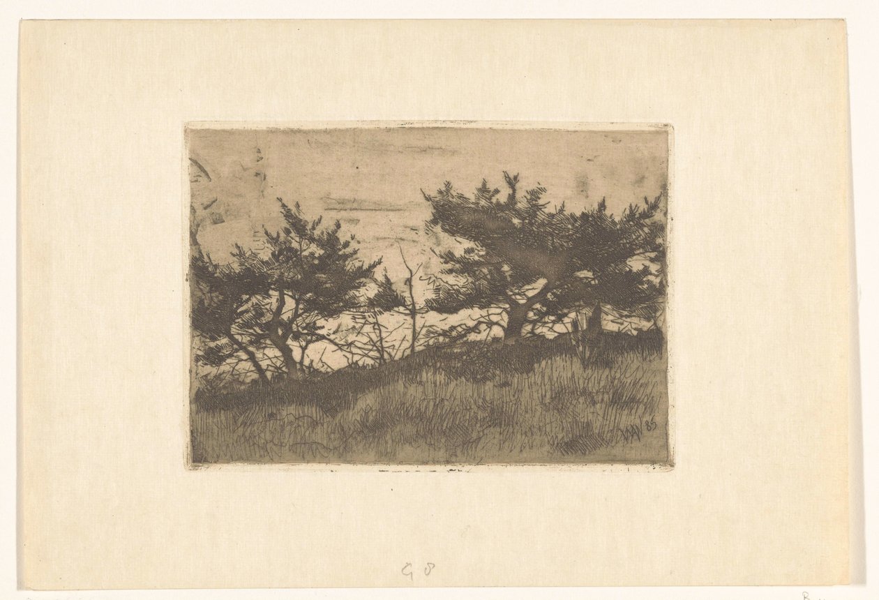 Arbres sur une colline - Willem Arnoldus Witsen