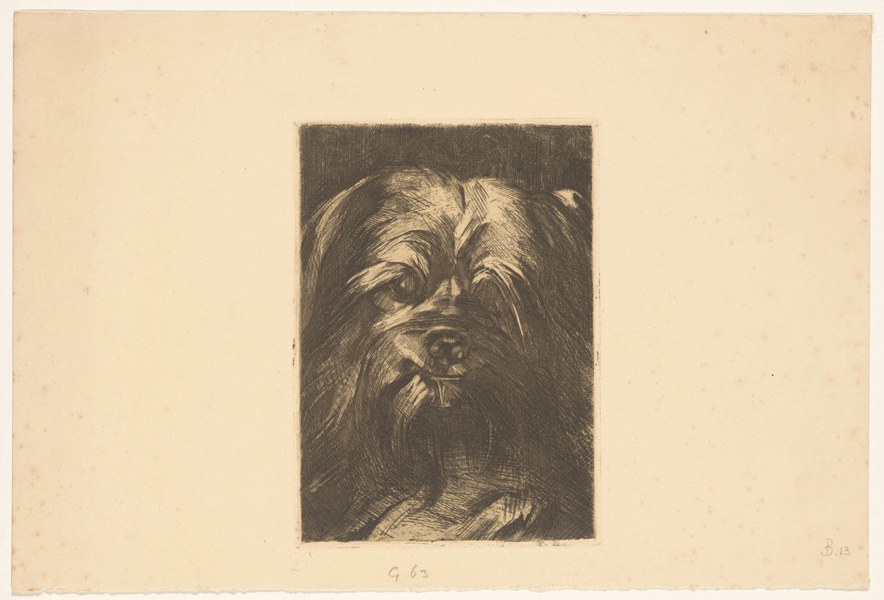 Chien Phoebus - Willem Arnoldus Witsen