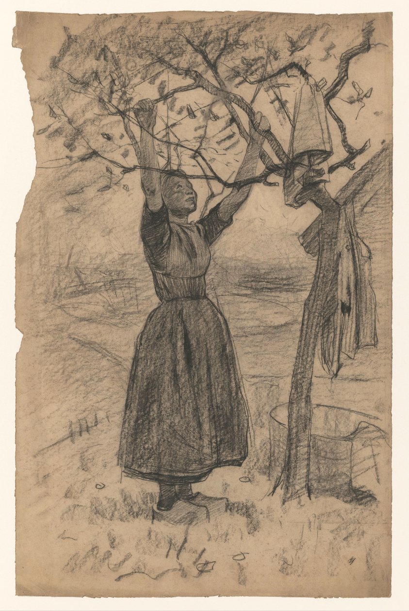 Femme étendant le linge sur un arbre, vers la droite - Willem Arnoldus Witsen