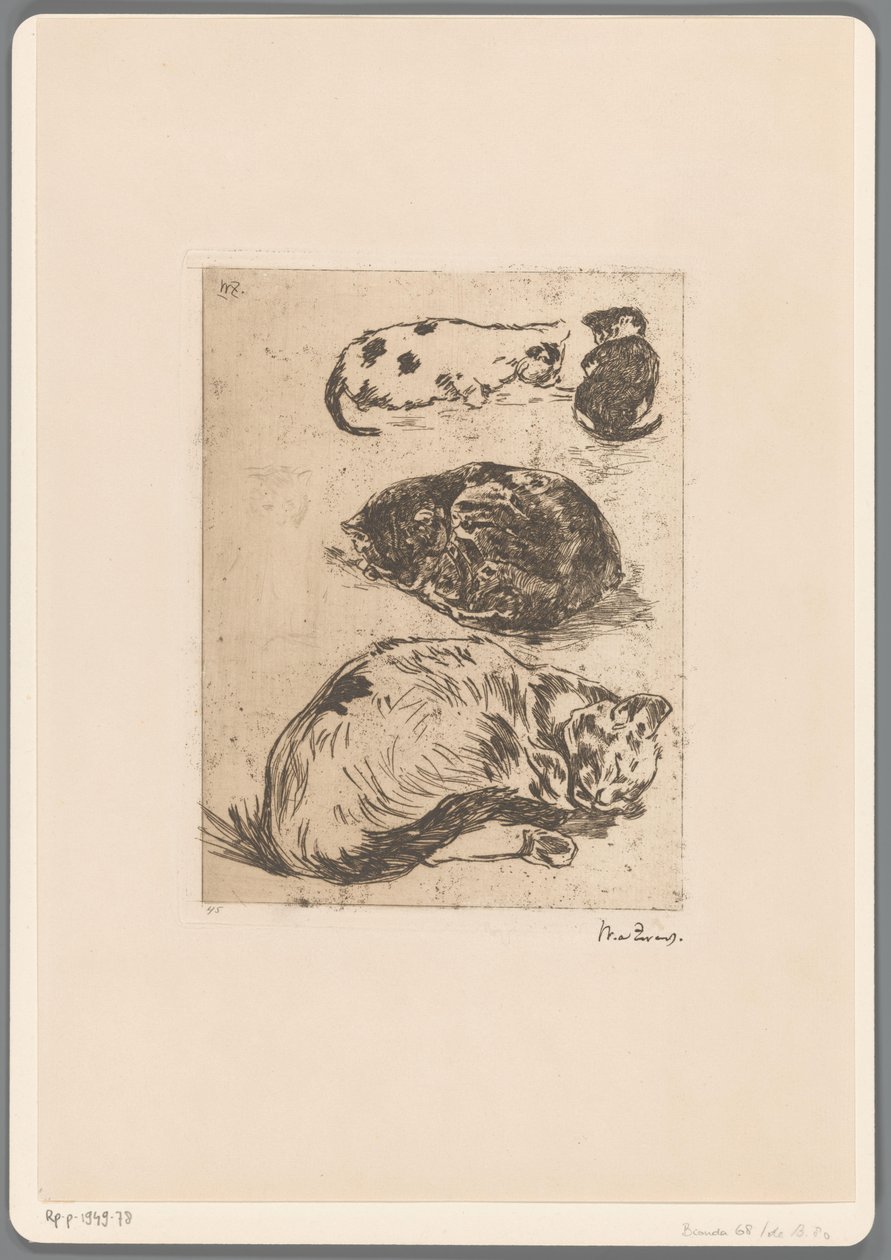 Étude de chats - Willem de Zwart (signed by artist)