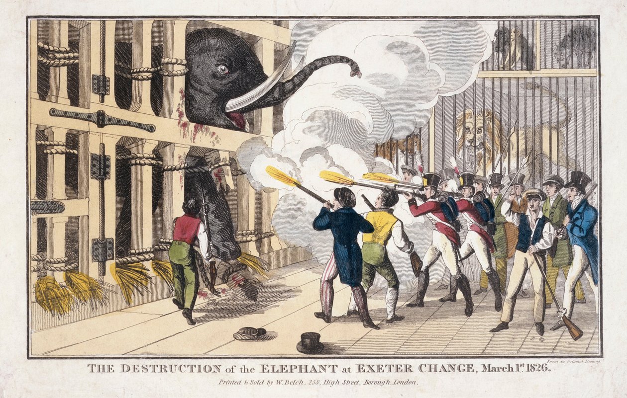 La destruction de l