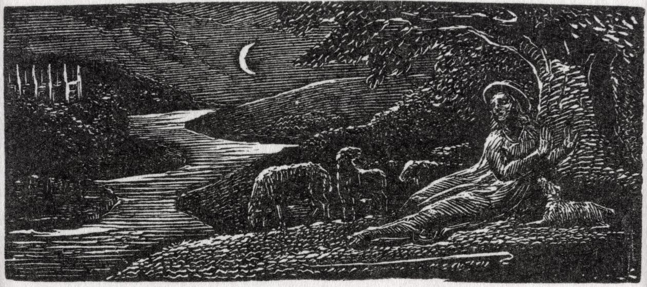 Colinet se reposant à Cambridge la nuit, illustration de 
