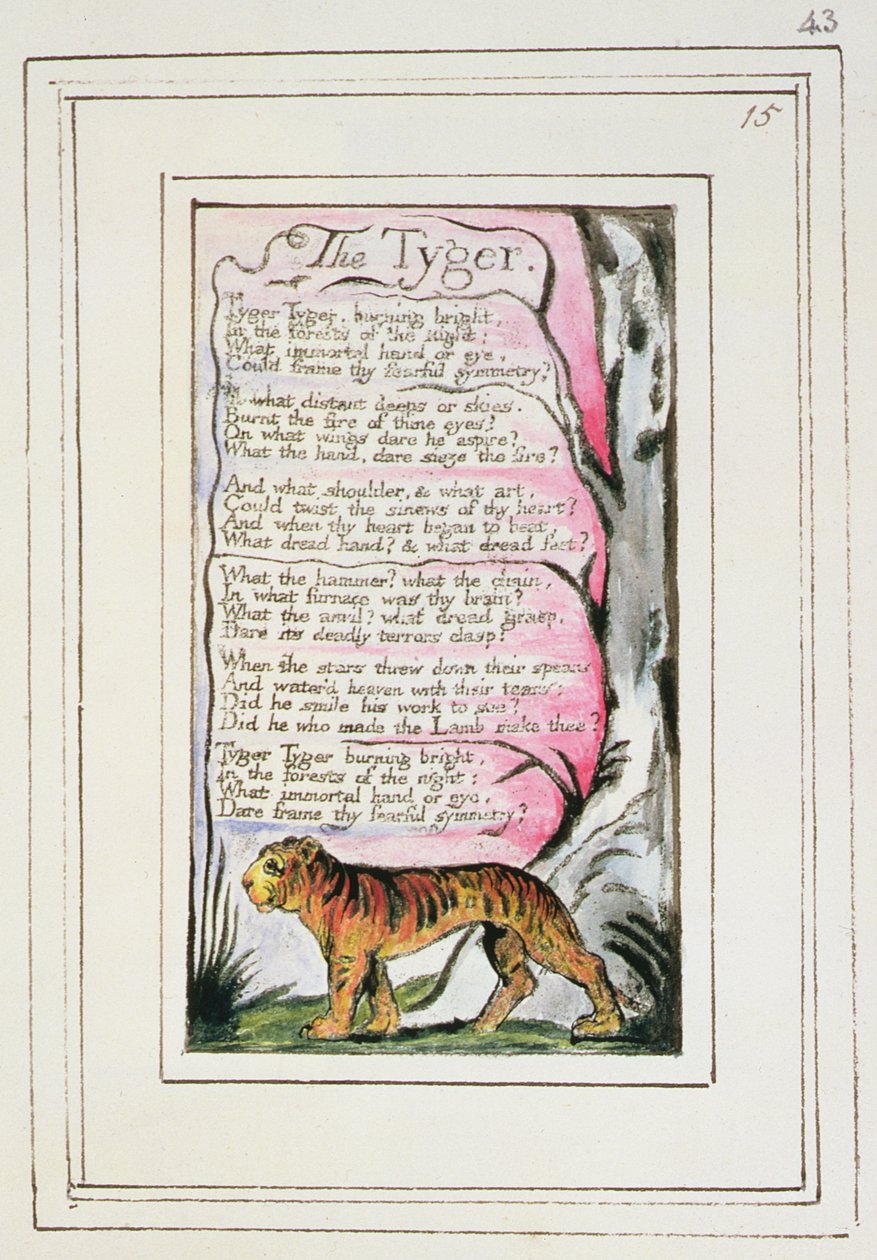 Le Tigre: planche 43 de 