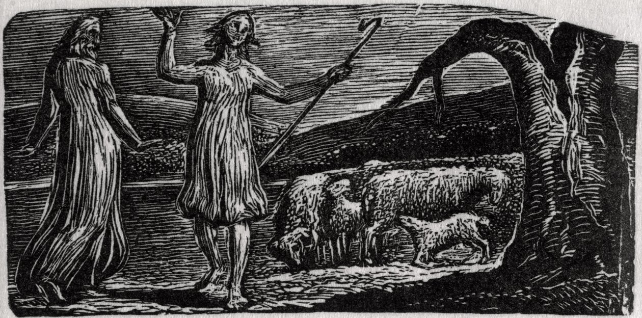 Thenot, avec Colinet agitant ses bras de chagrin, illustration du 